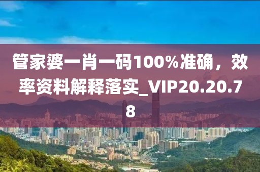 管家婆一肖一码100%准确，效率资料解释落实_VIP20.20.78