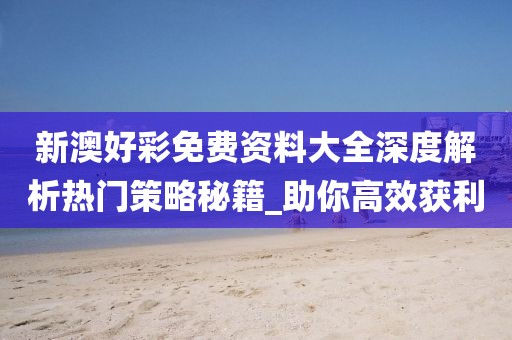新澳好彩免费资料大全深度解析热门策略秘籍_助你高效获利