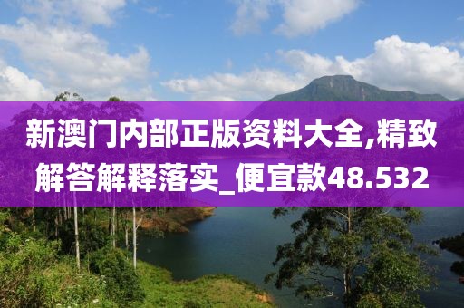 新澳门内部正版资料大全,精致解答解释落实_便宜款48.532