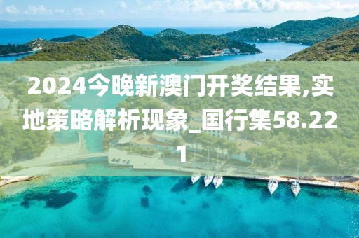2024今晚新澳门开奖结果,实地策略解析现象_国行集58.221