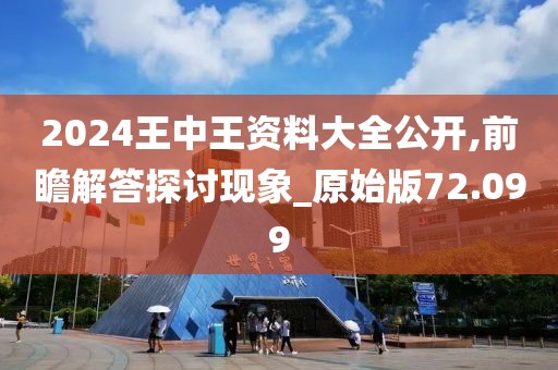 2024王中王资料大全公开,前瞻解答探讨现象_原始版72.099