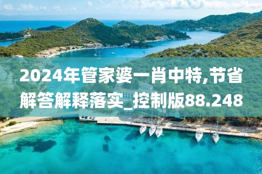 2024年管家婆一肖中特,节省解答解释落实_控制版88.248