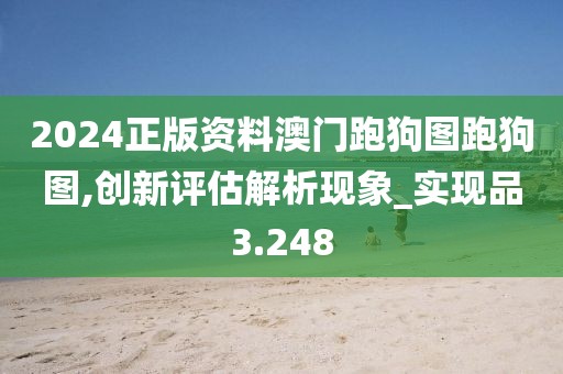 2024正版资料澳门跑狗图跑狗图,创新评估解析现象_实现品3.248