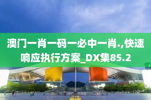 澳门一肖一码一必中一肖.,快速响应执行方案_DX集85.2