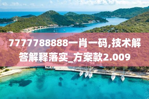 7777788888一肖一码,技术解答解释落实_方案款2.009