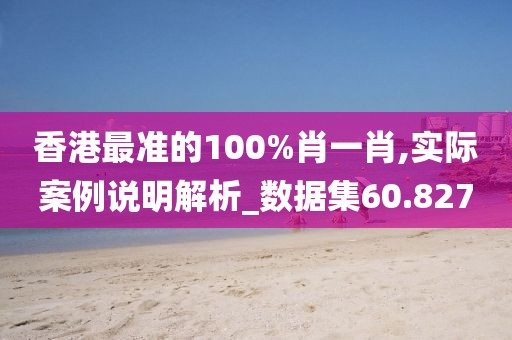 香港最准的100%肖一肖,实际案例说明解析_数据集60.827