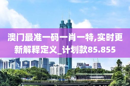 澳门最准一码一肖一特,实时更新解释定义_计划款85.855
