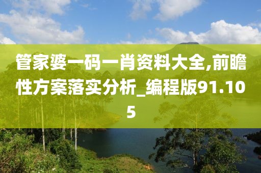 管家婆一码一肖资料大全,前瞻性方案落实分析_编程版91.105