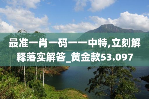 最准一肖一码一一中特,立刻解释落实解答_黄金款53.097