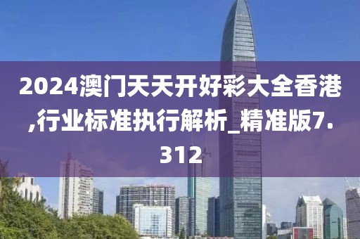 2024澳门天天开好彩大全香港,行业标准执行解析_精准版7.312