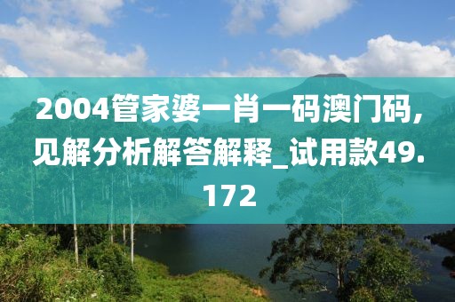 2004管家婆一肖一码澳门码,见解分析解答解释_试用款49.172
