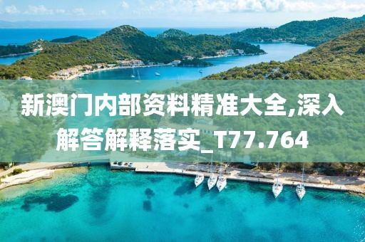 新澳门内部资料精准大全,深入解答解释落实_T77.764