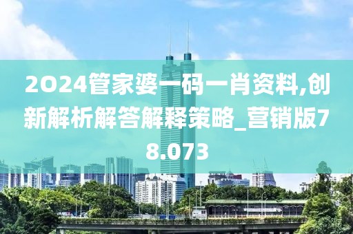 2O24管家婆一码一肖资料,创新解析解答解释策略_营销版78.073