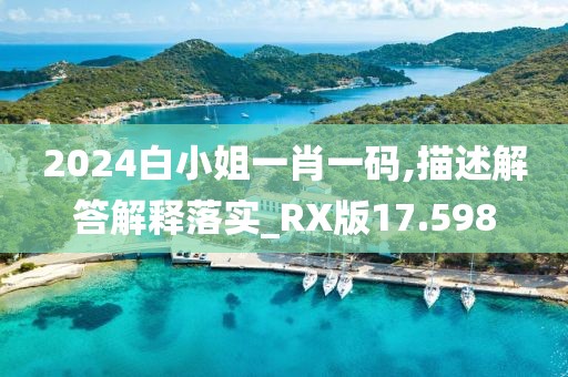 2024白小姐一肖一码,描述解答解释落实_RX版17.598
