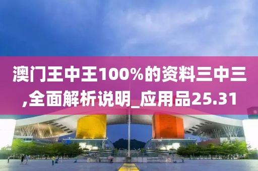 澳门王中王100%的资料三中三,全面解析说明_应用品25.31