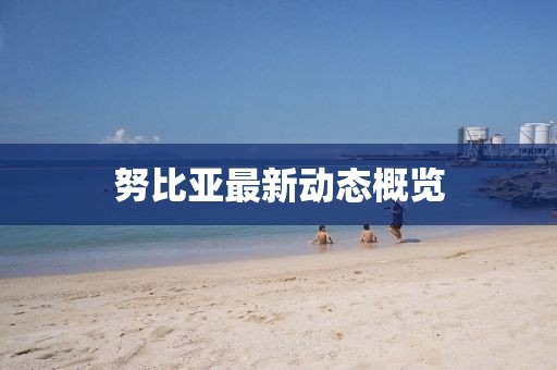 努比亚最新动态概览