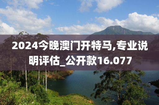2024今晚澳门开特马,专业说明评估_公开款16.077