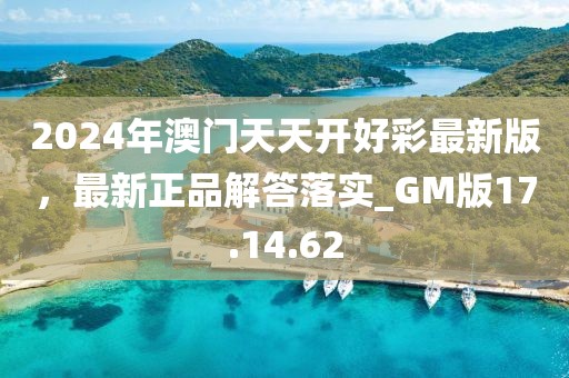 2024年澳门天天开好彩最新版，最新正品解答落实_GM版17.14.62