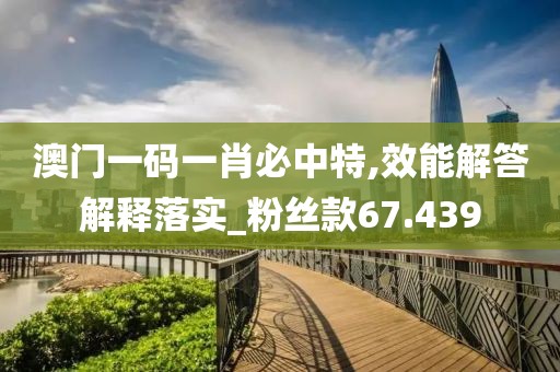 澳门一码一肖必中特,效能解答解释落实_粉丝款67.439