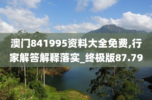 澳门841995资料大全免费,行家解答解释落实_终极版87.79