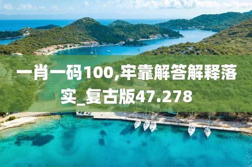 一肖一码100,牢靠解答解释落实_复古版47.278