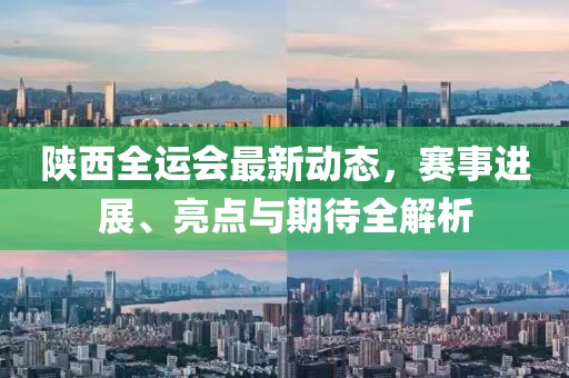 陕西全运会最新动态，赛事进展、亮点与期待全解析