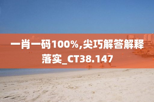 一肖一码100%,尖巧解答解释落实_CT38.147