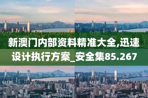 新澳门内部资料精准大全,迅速设计执行方案_安全集85.267