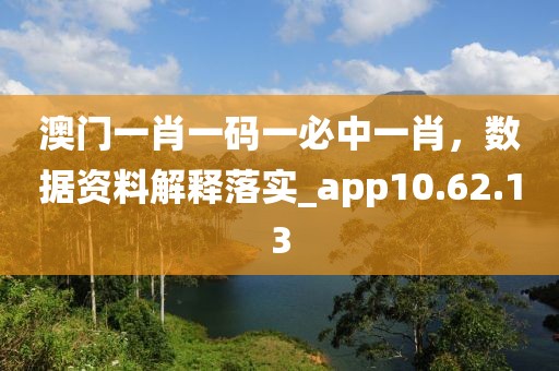 澳门一肖一码一必中一肖，数据资料解释落实_app10.62.13