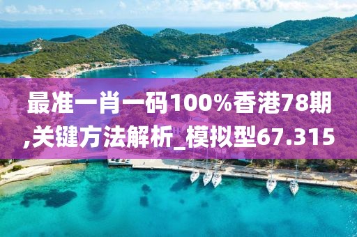 最准一肖一码100%香港78期,关键方法解析_模拟型67.315