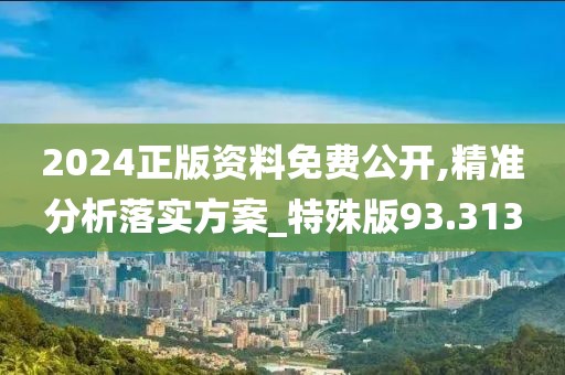 2024正版资料免费公开,精准分析落实方案_特殊版93.313