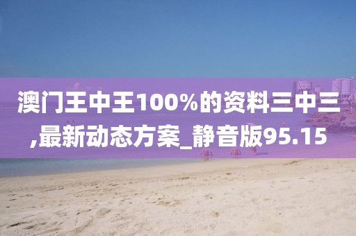 澳门王中王100%的资料三中三,最新动态方案_静音版95.15