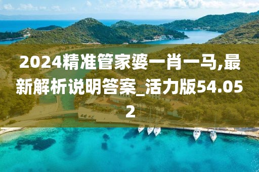 2024精准管家婆一肖一马,最新解析说明答案_活力版54.052