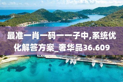 最准一肖一码一一子中,系统优化解答方案_奢华品36.609