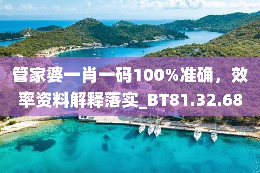 管家婆一肖一码100%准确，效率资料解释落实_BT81.32.68
