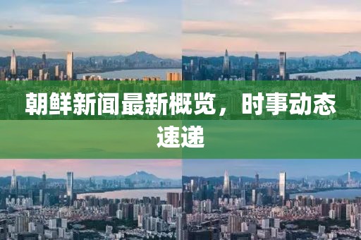 朝鲜新闻最新概览，时事动态速递