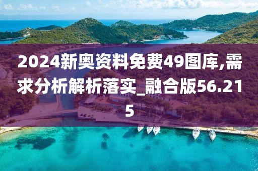 2024新奥资料免费49图库,需求分析解析落实_融合版56.215