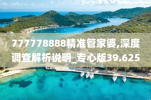 777778888精准管家婆,深度调查解析说明_专心版39.625