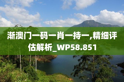 渐澳门一码一肖一持一,精细评估解析_WP58.851