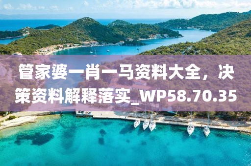 管家婆一肖一马资料大全，决策资料解释落实_WP58.70.35