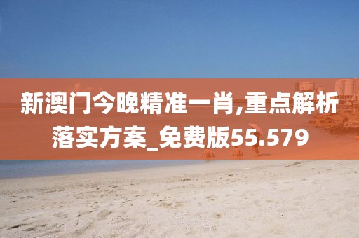 新澳门今晚精准一肖,重点解析落实方案_免费版55.579