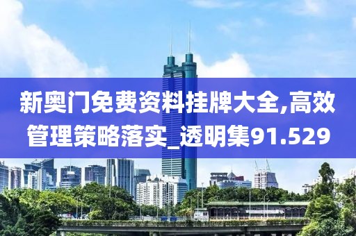 新奥门免费资料挂牌大全,高效管理策略落实_透明集91.529
