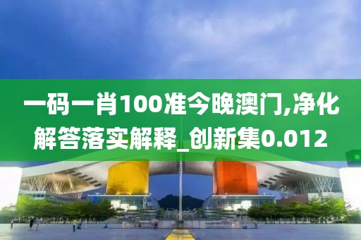 一码一肖100准今晚澳门,净化解答落实解释_创新集0.012