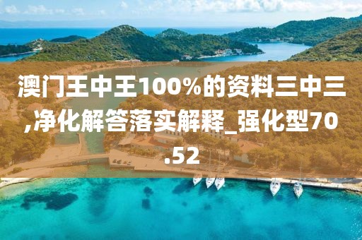 澳门王中王100%的资料三中三,净化解答落实解释_强化型70.52