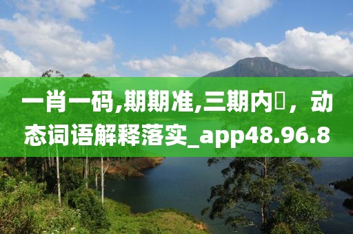 一肖一码,期期准,三期内開，动态词语解释落实_app48.96.8