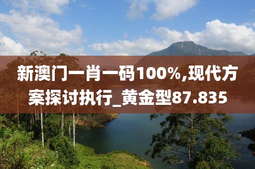 新澳门一肖一码100%,现代方案探讨执行_黄金型87.835
