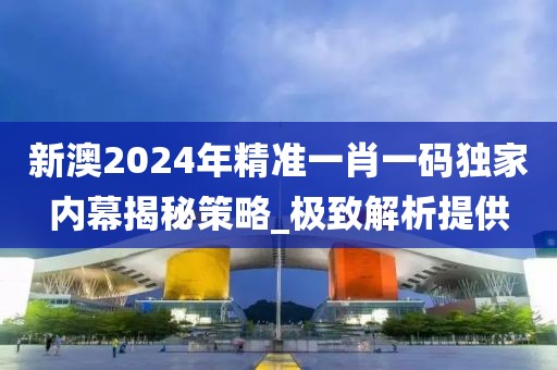 新澳2024年精准一肖一码独家内幕揭秘策略_极致解析提供