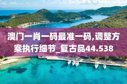澳门一肖一码最准一码,调整方案执行细节_复古品44.538