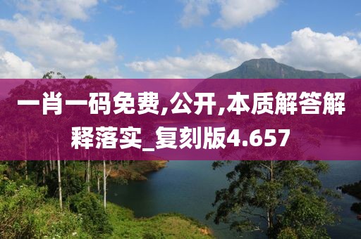 一肖一码免费,公开,本质解答解释落实_复刻版4.657