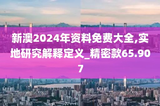 新澳2024年资料免费大全,实地研究解释定义_精密款65.907